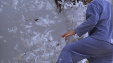 Yastık Pandemonium - Neşeli Çocuklar ve Havada Uçan Tüyler, Yatak Çarşafları Plumage in Bed Zounce ile 1000 fps