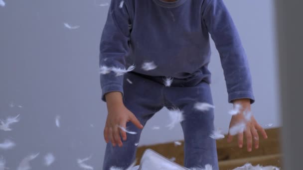 Feathers Falling Everywhere While Little Boy Picks Unzipped Pillow Standing — Stock Video