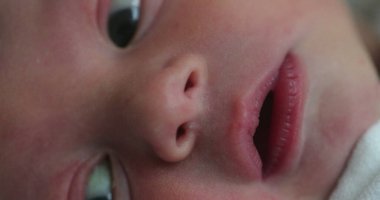 Baby newborn infant awake in first day of life, macro closeup of toddler face
