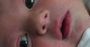 Baby newborn infant awake in first day of life, macro closeup of toddler face