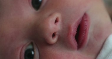 Baby newborn infant awake in first day of life, macro closeup of toddler face