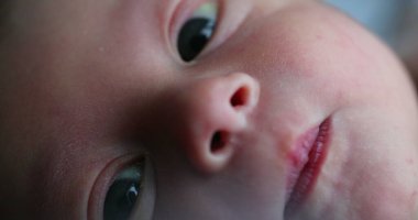 Baby newborn infant in first week of life, closeup of portrait face