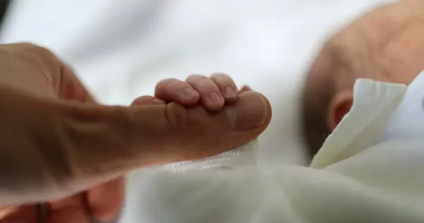 Newborn Baby Holding Father Finger First Day Life Royaltyfria Stockbilder