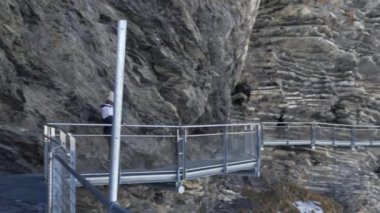 İsviçre Alplerinde yamaçlarda yürüyen bir kadın, Grindelwald. Metal destek yüksekliği ve muhteşem dağ manzarası