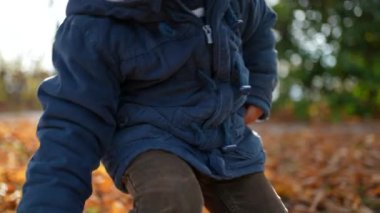 Parkta güneşli bir sonbahar gününde fındık toplayan çocuk, portakal yapraklarının arasında güneş ışığında parkı keşfeden çocuk.