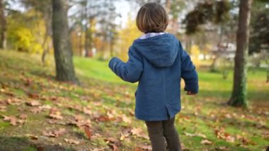 Parkın arkasında, turuncu yaprakların arasında mavi ceketli, düşünceli 3 yaşındaki bir çocuk sonbahar mevsimi boyunca doğaya bakıyor.