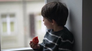 Düşünceli Çocuk Çileğin Tadına Bakıyor, Yüksek Pencereden Bakıyor. Küçük çocuk manzarayı izlerken sağlıklı meyve yiyor.