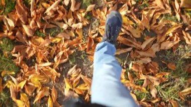 Sonbahar yaprakları arasında güz mevsiminde yürüyen insan portresi. Erkek bacakları parka bakıyor mevsimleri değiştirirken doğayı keşfediyor.