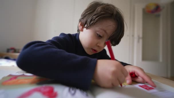 Soustředěný Chlapec Kreslení Omalovánky Pero Knize Zaměřené Dítě Studium Doma — Stock video