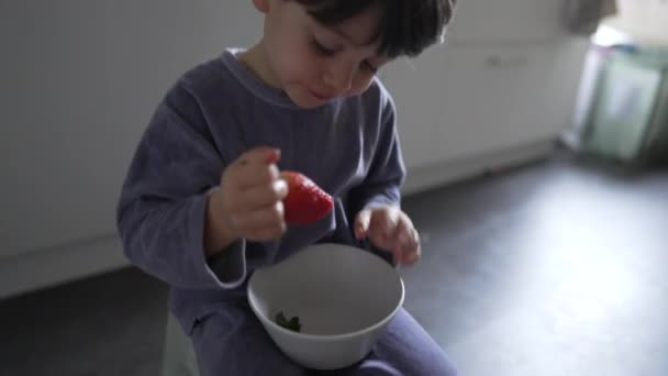 小孩穿着睡衣 在厨房地板上吃草莓 小男孩手拿着碗吃早餐 — 图库视频影像
