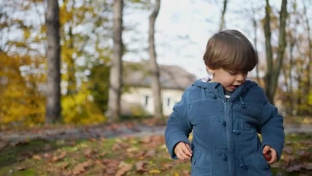 青いジャケットを着て秋の季節に公園を歩く子供 オレンジ色の葉の中で自然を散策しながらポケットの中にナットを入れる3歳の子供 — ストック動画