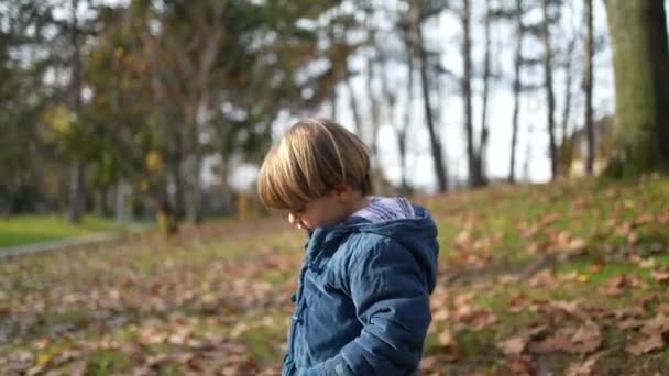Dreijähriger Junge Spaziert Herbsttag Draußen Park Kind Blauer Jacke Umgeben — Stockvideo