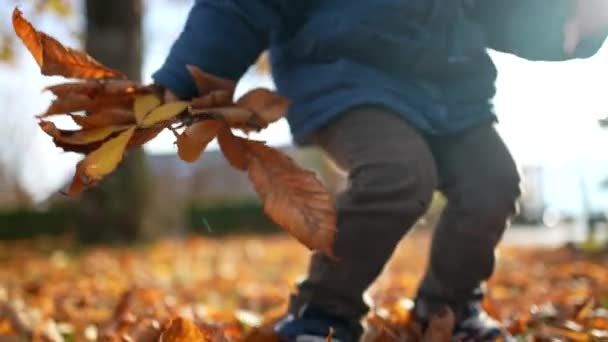 Joyful Jonge Boy Tossing Herfst Bladeren Lucht Zorgeloos Jarige Kind — Stockvideo