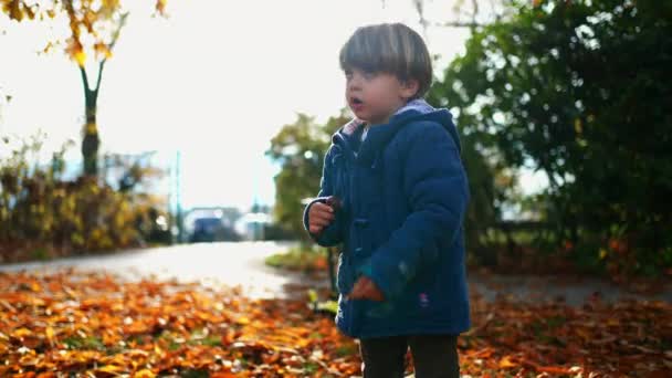 Aranyos Kis Éves Fiú Áll Kívül Park Ősszel Nap Gyermek — Stock videók
