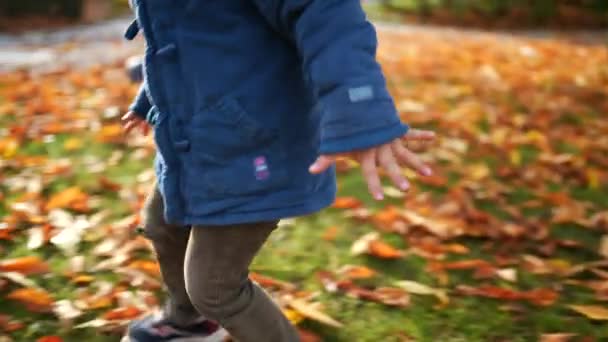 Egy Aranyos Kisfiú Játszik Őszi Levelekkel Szabadban Parkban Gyermek Visel — Stock videók
