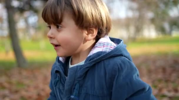孩子们在公园里快乐地奔跑着 兴奋的3岁小男孩穿着蓝色夹克 在橙叶中探索大自然 — 图库视频影像
