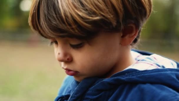 Introspektiver Vierjähriger Junge Träumt Beim Spazierengehen Waldpark — Stockvideo
