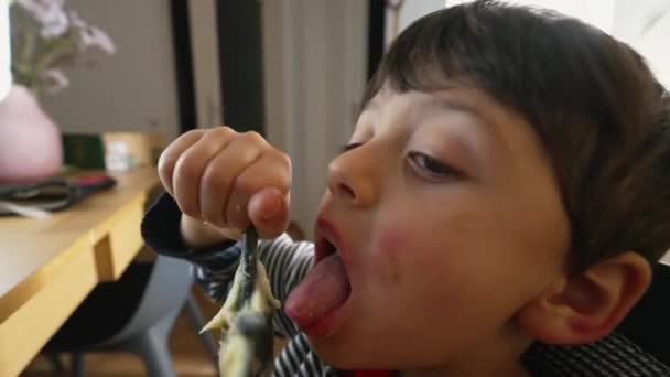 キッズは キッチン パストラ ウィスキーの最後のピューレをライセンスします 5歳児 ランチタイム中にジャガイモを舐める — ストック動画