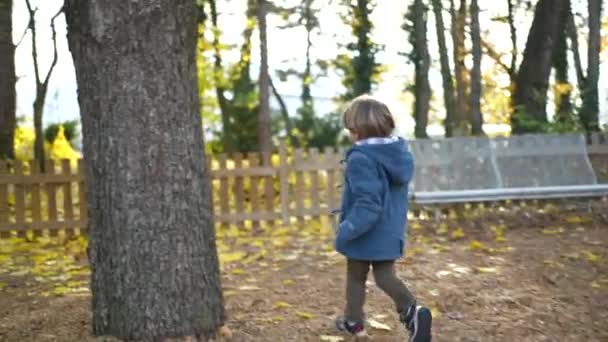 Trzyletni Chłopiec Cieszący Się Jesiennym Biegiem Parku Tył Dziecka Otoczony — Wideo stockowe