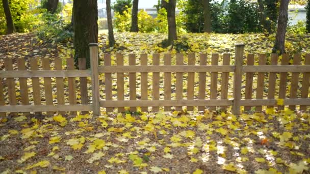 Cerca Madeira Jardim Outono Demarcação Residência Com Folhas Amarelas Chão — Vídeo de Stock