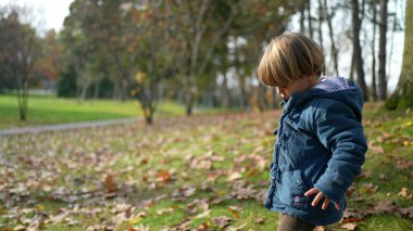 Sonbahar Parkı 'nı Keşfeden Çocuk - Turuncu Yaprakların Arasında Mavi Ceketli 3 yaşında Çocuk