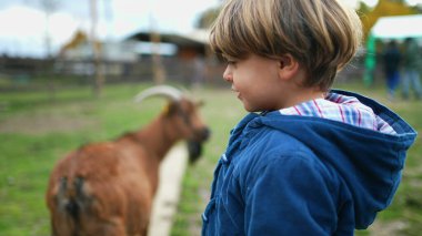 Küçük bir çocuk tarlada yürüyor ve kırsal bölgeleri inceliyor. Sonbahar günü organik çiftlikten öğrenen çocuk
