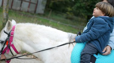 Pist üzerinde bir çocukla birlikte midilli hayvanının yakın çekimi.