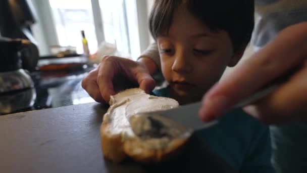 Child Looking Parent Hand Spread Cream Cheese Bread Surface Close — Stock Video