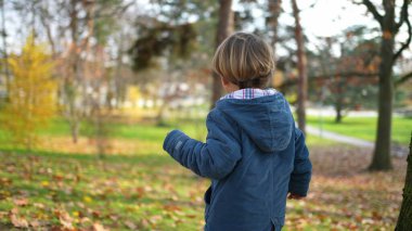 Parkın arkasında, turuncu yaprakların arasında mavi ceketli, düşünceli 3 yaşındaki bir çocuk sonbahar mevsimi boyunca doğaya bakıyor.