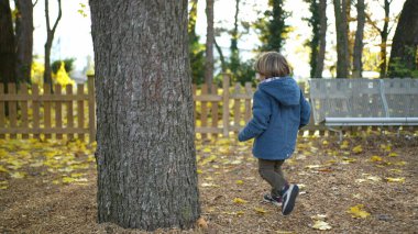 Park 'ta sonbahar koşusunun tadını çıkaran 3 yaşındaki çocuk. Çocuğun arkası sarı yapraklarla çevrili.