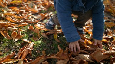 Sunlit Park 'ta Turuncu Yapraklı Çocuk - Turuncu doğada oynayan mavi ceketli çocuğun sonbahar oyunu