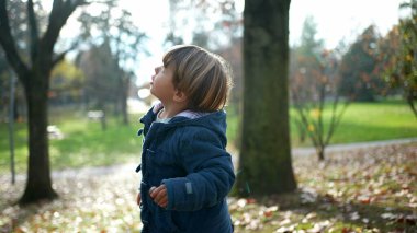 Sonbahar sezonu boyunca parkta durup düşüncelere dalmış şekilde gökyüzüne bakan çocuk. Turuncu yaprakların arasında mavi ceket giyen 3 yaşında bir çocuk. Düşünceli bir ifade.