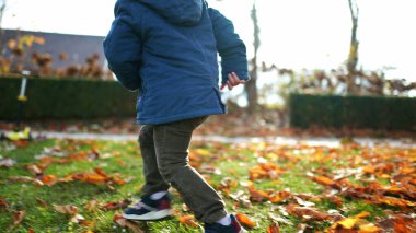 Parkta sonbahar yapraklarıyla oynayan sevimli küçük bir çocuk. Mavi ceketli bir çocuk güneşli bir günde dışarıda koşuyor. Güneşli bir günde çimenlere ve doğaya neşeyle dokunuyor.