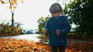 Sonbahar günü parkta dikilen sevimli, küçük bir çocuk. Turuncu yaprakların arasında mavi ceketli bir çocuk.