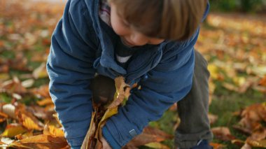 Ceketli Küçük Çocuk Kuru Sonbahar Yaprakları Topluyor ve Havaya Fırlatıyor, Kaygısız Mutlu Çocuk Sonbahar sezonunun keyfini çıkarıyor