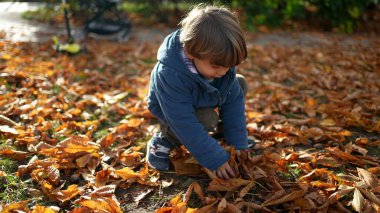 Neşeli Çocuk sonbahar yapraklarını havaya fırlatıyor. Turuncu doğanın ortasında, güneşli bir günde parkta mavi ceketli şirin bir çocuk oyun oynuyor.