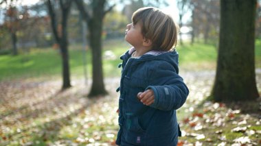 Sonbahar sezonu boyunca parkta durup düşüncelere dalmış şekilde gökyüzüne bakan çocuk. Turuncu yaprakların arasında mavi ceket giyen 3 yaşında bir çocuk. Düşünceli bir ifade.