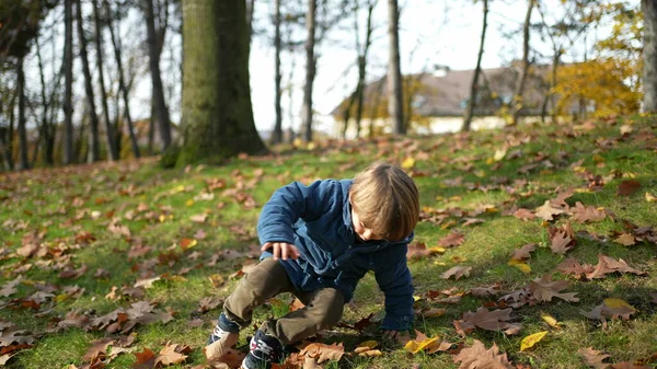 Small boy falling to the ground while walking at park. 3 year old child accidentally trips and falls down while strolling in nature