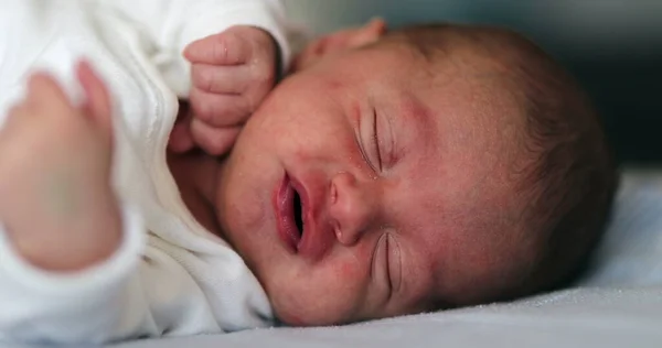 Cute adorable newborn baby waking up opening eyes and falling back to sleep again