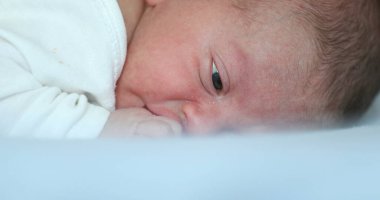 Newborn first week of life learning