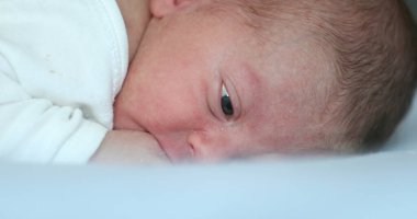 Newborn first week of life learning