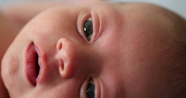 Newborn baby closeup face awake during first week of life