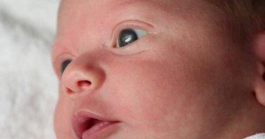Newborn baby awake looking and learning closeup