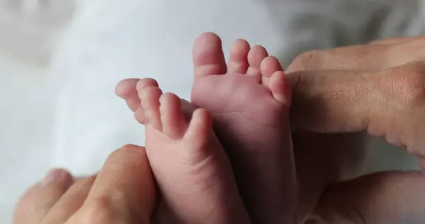 Newborn baby feet holding together