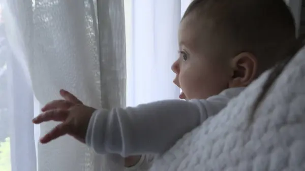Baby holding into curtain window