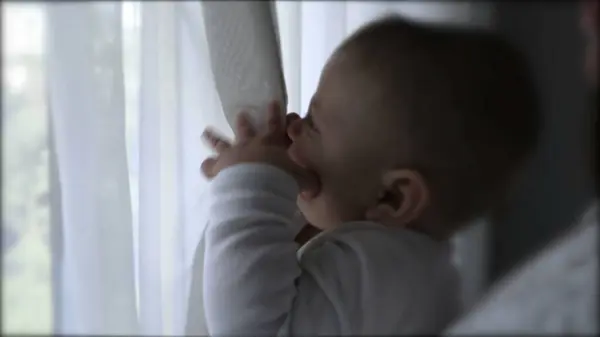 Baby playing with curtain window at home infant holding silk curtain