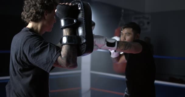 Muay Thai Kämpfer Schlagpolster Pad Arbeitsschwerpunkt Handschuhtraining Polsterhalter Unterstützt Boxer — Stockvideo