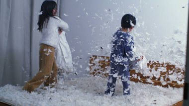 Kardeşler Neşeli Yastık Savaşı - Havadaki Tüyler, Ağır Çekimde 1000 FPS 'de Yakalandı