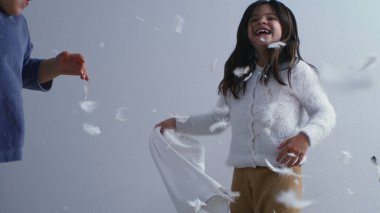 Tüylü Eğlence İçin Mutlu Kardeşler - 1000 FPS 'de Yatak Zıplama ve Yastık Dövüşü