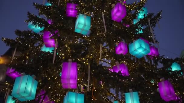 Großer Dekorativer Weihnachtsbaum Mit Beleuchteten Geschenken Und Glühbirnen Aus Der — Stockvideo